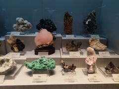 -湖南省地质博物馆