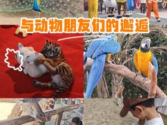 -杭州野生动物世界
