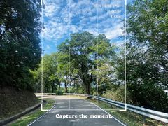 -风云岭森林公园