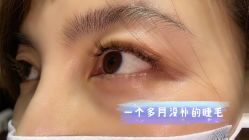 -杨红水晶延长美甲美睫