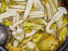 -菌之家·专业纯野生菌火锅·特色炒菌