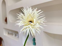 -森野花艺培训·企业团建活动沙龙