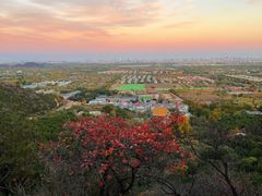 -北京西山国家森林公园