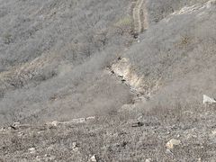 -嵖岈山风景区