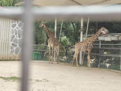 -泉州海丝野生动物世界