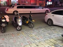 -鸭嘴鱼