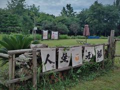 -白鹭湾湿地公园