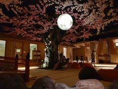 -蓝鲸湾汤泉(包河店)