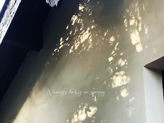 -求雨山文化公园