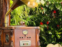 -后海16号·北京私房菜