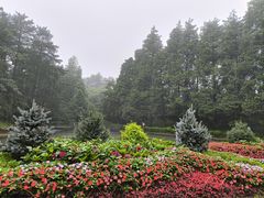 -庐山风景区花径公园