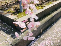 -永乐路-路侧停车场