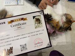-美迦爱-牙专科·兔科·骨科诊疗中心(北苑店)
