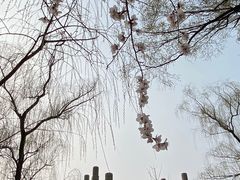 -迎泽公园
