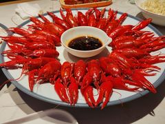 -杨氏青龙虾·羊蝎子(托乐嘉店)