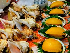 冰鲍鱼苦螺-新君凯酒家