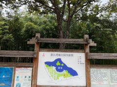 -新江湾城公园