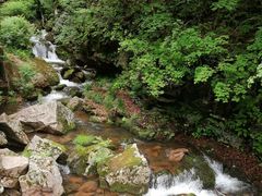 -五女峰国家森林公园