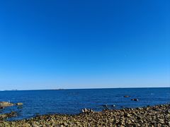 -海合安青岛极地海洋公园