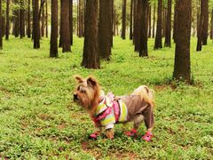 -蜀冈西峰生态公园