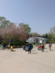 -酷酷兔少儿拓展天地