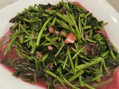 -华盛丰温州大排档(东三环南路店)