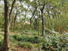 -普陀山风景名胜区-千步大沙