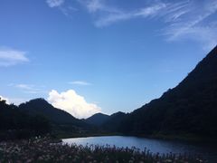 -广州市石门国家森林公园