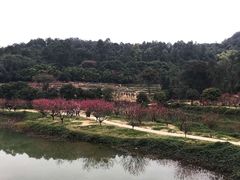 景点-南国桃园旅游度假区