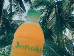 -Jonah's Fruit Shake & Snack Bar