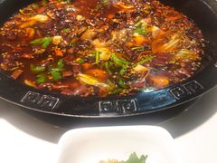 肥肠鱼-烧哥美蛙肥肠鱼火锅·十五年社区店