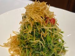 巧拌豆苗-四季民福烤鸭店(王府井灯市口店)