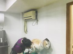 -创凡宠物医院·骨专科  猫科中心(西乡分院)