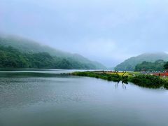 -广州市石门国家森林公园