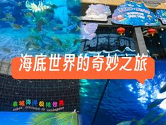-泉城欧乐堡海洋极地世界