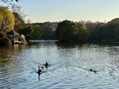 -西郊宾馆·1921餐厅