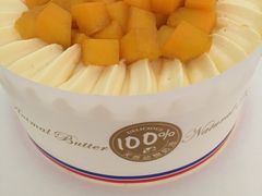 -维尔纳斯·生日蛋糕·动物奶油冰淇淋蛋糕(六里桥店)