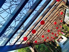 -白马涧龙池景区