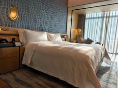 -深圳国际会展中心希尔顿酒店(前海华发冰雪世界店)