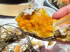 -杨氏青龙虾·羊蝎子(托乐嘉店)