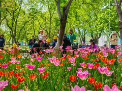 -白塘生态植物园