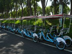 -洪湖生态旅游区