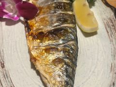 -樱之味精致料理融合餐厅