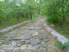 -阳台山自然风景区