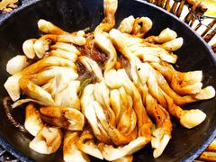 -华盛园卷子王农家菜水库鱼