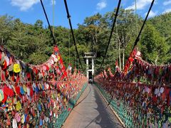 -西双版纳原始森林公园