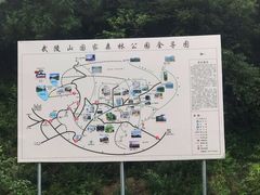 -武陵山森林公园