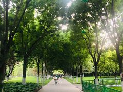 -中华世纪坛-停车场