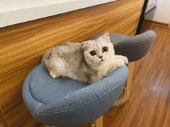 -0907餐厅(核桃园店)