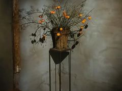 -曲廊院(东四十一条店)